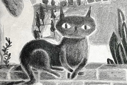 cat and mouse