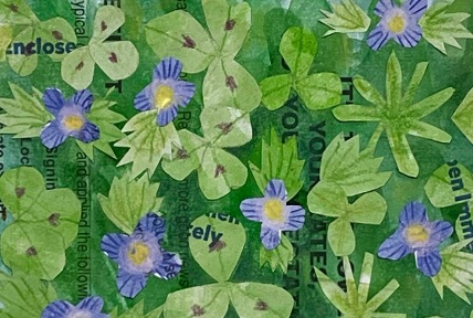 clover